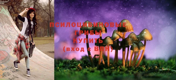 кристаллы Карпинск