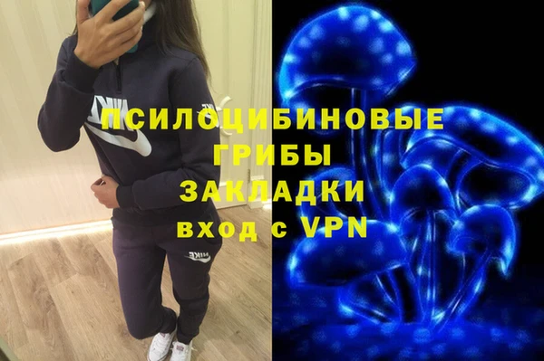 кристаллы Карпинск