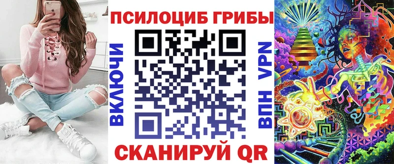 Купить закладки  Пикалёво  Галлюциногенные грибы MAGIC MUSHROOMS 